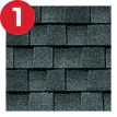 1 Lifetime Shingles