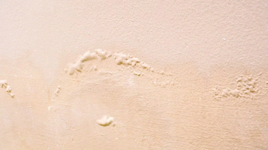 Brown Wall Damp Damaged With Peeling Paint