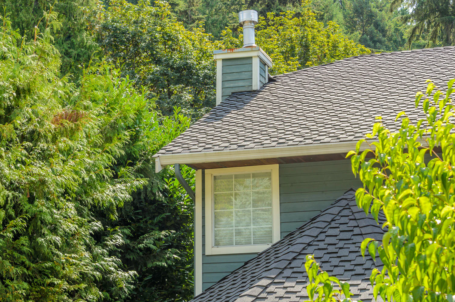 house-with-shingled-roof-and-wooded-green-surround-2026-03-26-11-34-00-utc