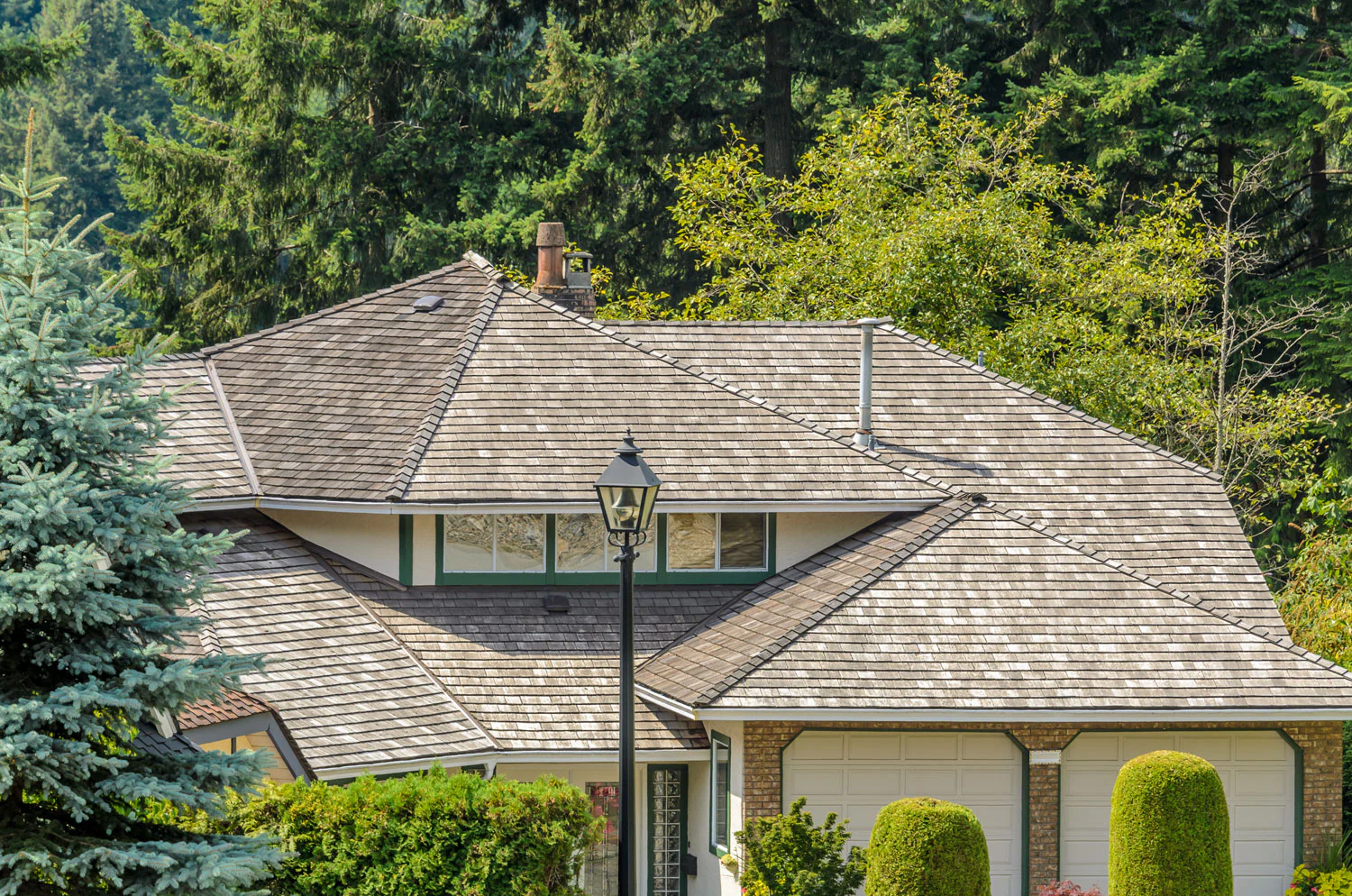 suburban-home-surrounded-by-evergreen-trees-2026-03-26-11-35-35-utc