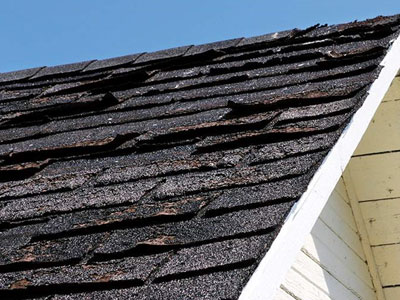 Damaged shingles